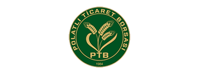Polatlı